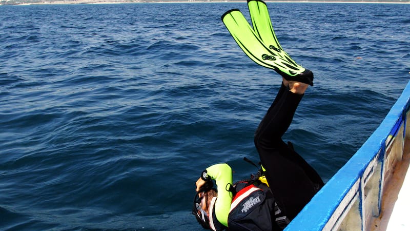 diving and scuba happy entertainment in kish island south of iran